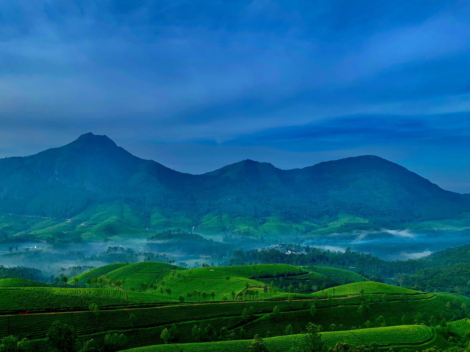 Lockhart Bungalow Munnar - A Cgh Earth Saha Experience Eksteriør bilde