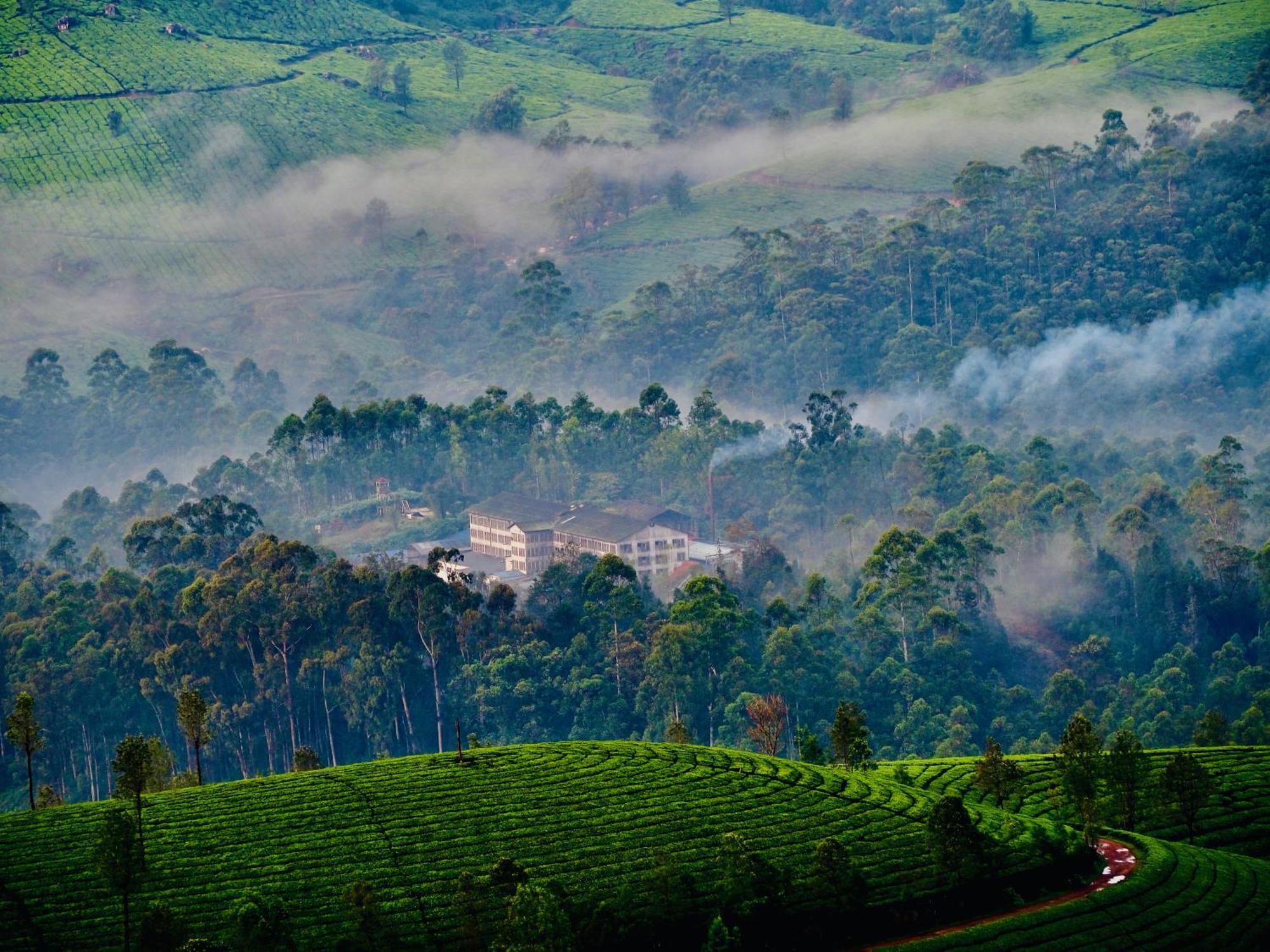 Lockhart Bungalow Munnar - A Cgh Earth Saha Experience Eksteriør bilde