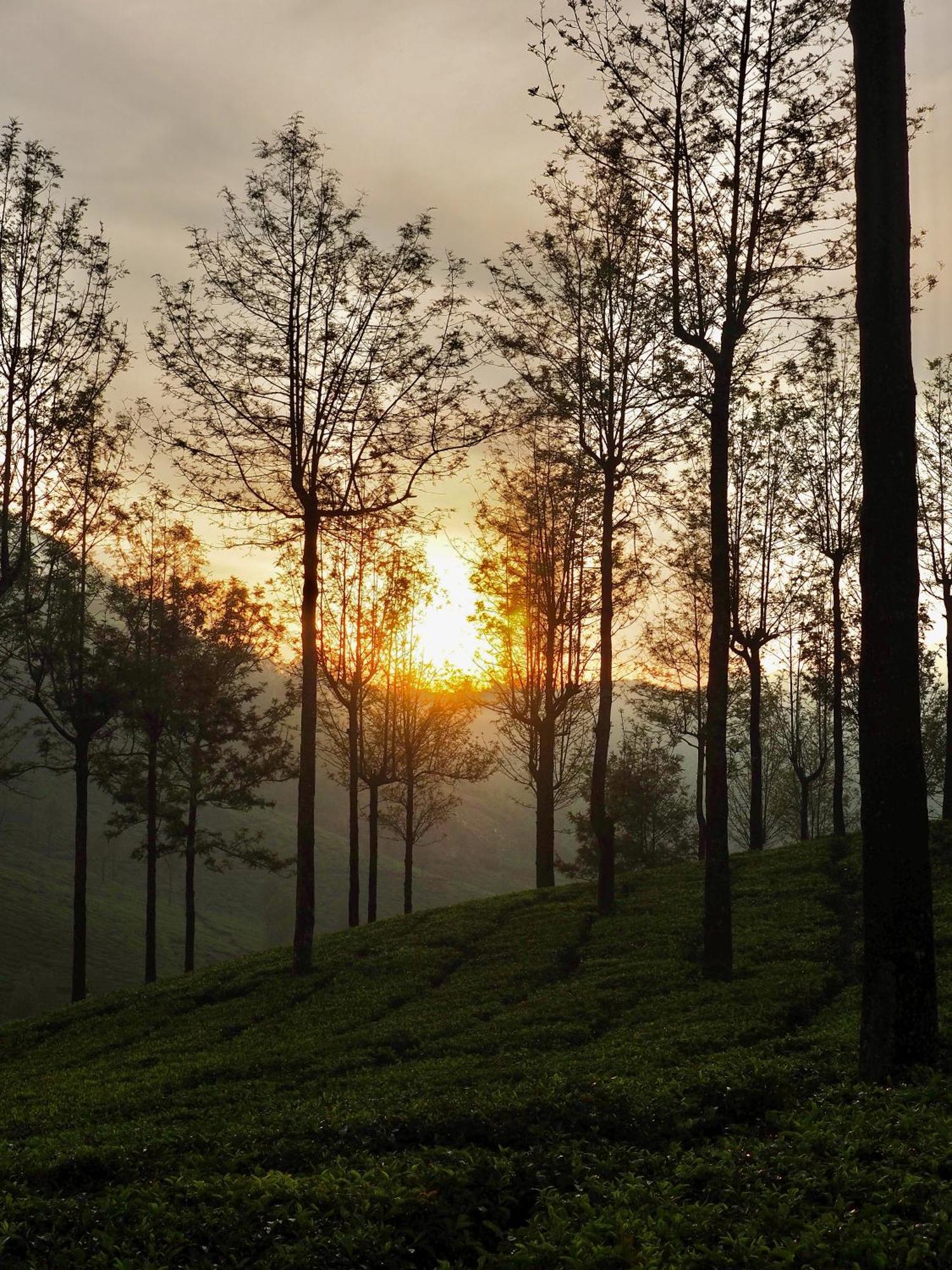 Lockhart Bungalow Munnar - A Cgh Earth Saha Experience Eksteriør bilde
